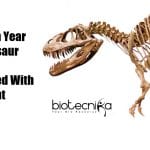 dinosaur fossil with bone cancer