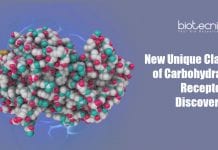 New Unique Class of Carbohydrate Receptors Discovered New Unique Class of Carbohydrate Receptors