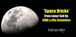 space bricks from lunar soil