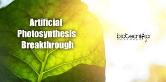 device to produce energy like plants