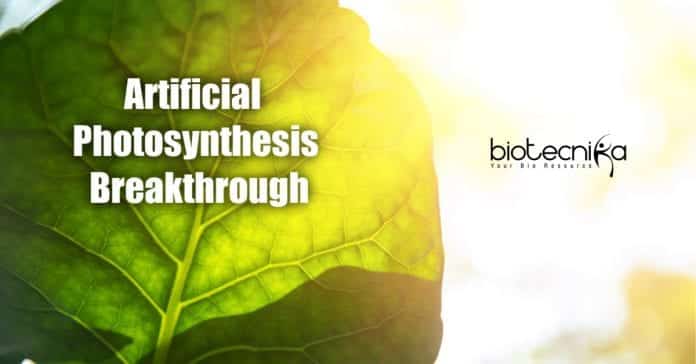 device to produce energy like plants