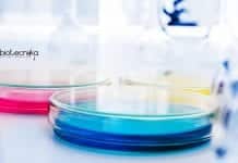 GNDU Food Technology Junior Research Fellow Job Opening GNDU Food Technology