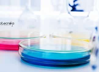 GNDU Food Technology