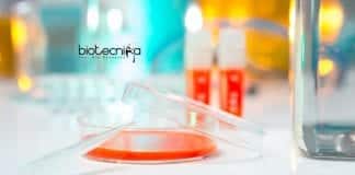 GSK Microbiology Quality Executive