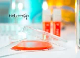 GSK Microbiology Quality Executive Job Opening – Apply Online GSK Microbiology Quality Executive
