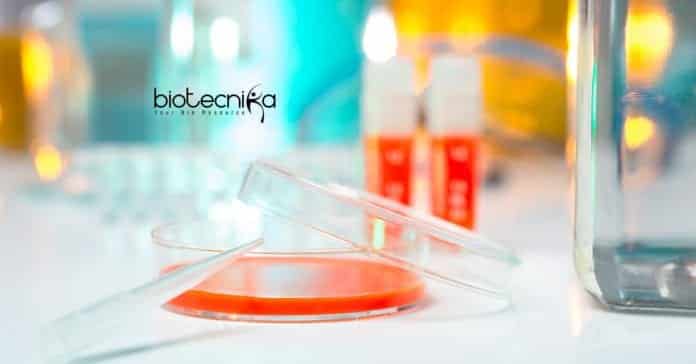 GSK Microbiology Quality Executive