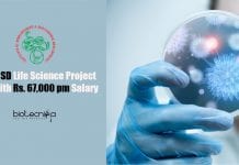 Govt IBSD Life Science Project Jobs With Rs. 67,000 pm Salary Govt IBSD Life Sciences