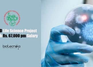 Govt IBSD Life Science Project Jobs With Rs. 67,000 pm Salary Govt IBSD Life Sciences
