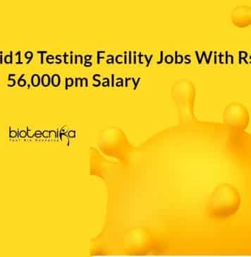 Govt IBSD Research Vacancies