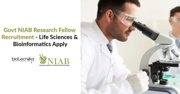 Govt NIAB Fellow Recruitment