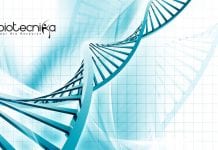 Govt RGCB BTech & MSc Bioinformatician Job Opening – Applications Invited Govt RGCB Bioinformatics Jobs