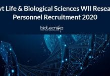 Govt Life & Biological Sciences WII Research Personnel Recruitment 2020 Govt Research Personnel Recruitment