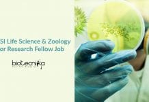 Govt ZSI Life Science & Zoology Junior Research Fellow Job Govt ZSI Zoology