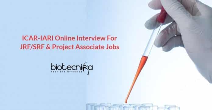 ICAR-IARI Project Vacancies