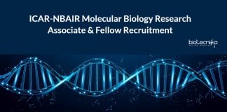 ICAR-NBAIR Molecular Biology Research