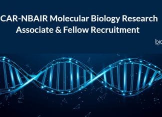 ICAR-NBAIR Molecular Biology Research
