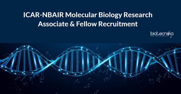 ICAR-NBAIR Molecular Biology Research