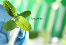 ICAR-NBPGR Biotech / Molecular Biology Young Professional Job ICAR-NBPGR