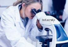 IISER Mohali Biotech & Biophysics JRF Vacancy Available IISER Mohali JRF Biotech