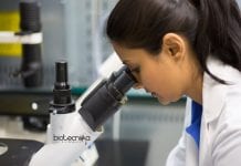 IISER Tirupati Project Assistant/Fellow Job Opening – Apply Online IISER Tirupati Project Assistant