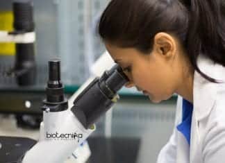 IISER Tirupati Project Assistant