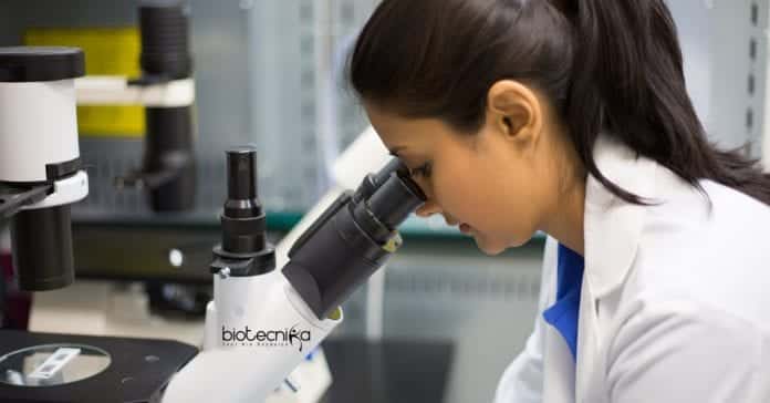 IISER Tirupati Project Assistant
