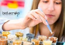 International Rice Research Institute Associate Scientist With Rs. 49,700 pm Pay IRRI Biochemistry Associate Scientist