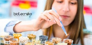 IRRI Biochemistry Associate Scientist