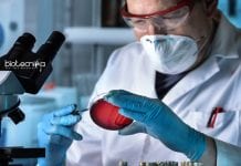 Johnson & Johnson R&D Scientist Recruitment – Apply Online J&J R&D Scientist Jobs