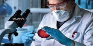 J&J R&D Scientist Jobs