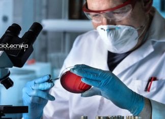 Johnson & Johnson R&D Scientist Recruitment – Apply Online J&J R&D Scientist Jobs