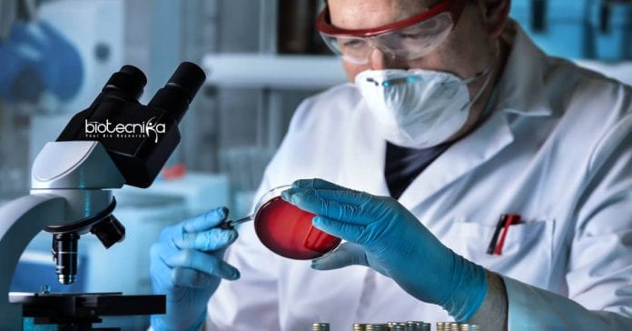 J&J R&D Scientist Jobs