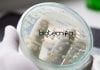 JNU School of Biotechnology