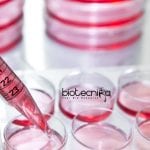 JNU Synthetic Biology JRF