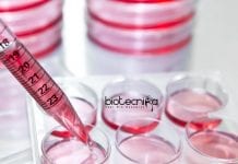 JNU Synthetic Biology Junior Research Fellow Job Opening JNU Synthetic Biology JRF