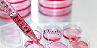 JNU Synthetic Biology JRF