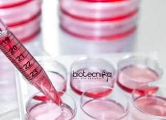 JNU Synthetic Biology JRF