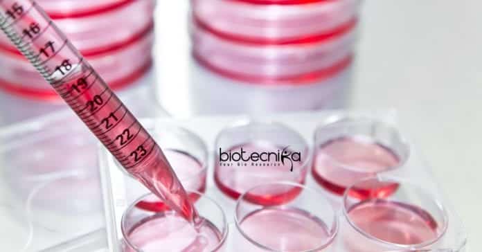 JNU Synthetic Biology JRF