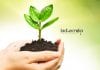 KFRI Botany & Plant Science Project Fellow Job Opening KFRI Plant Science