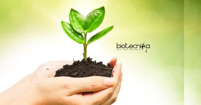 KFRI Plant Science
