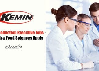 Kemin Production Executive Jobs