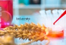 Llyods Food Tech / Biotech / Microbiology Technical Reviewer Job Llyods Food Tech