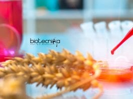 Llyods Food Tech / Biotech / Microbiology Technical Reviewer Job Llyods Food Tech