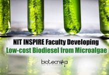 INSPIRE Faculty From NIT Set To Develop Low-Cost Biodiesel From Microalgae Low-Cost Biodiesel From Microalgae