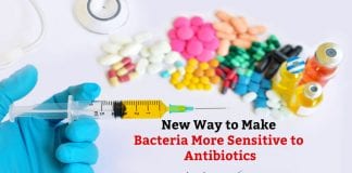 Making Bacteria More Sensitive to Antibiotics