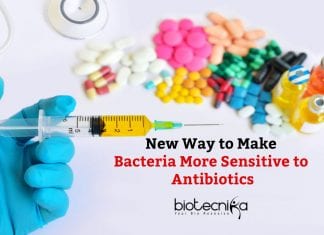 Making Bacteria More Sensitive to Antibiotics