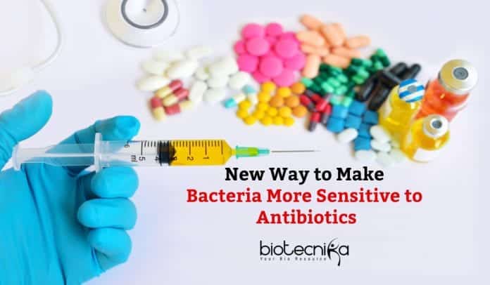 Making Bacteria More Sensitive to Antibiotics