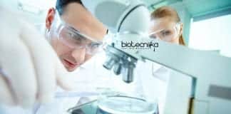 Merck Life Sciences