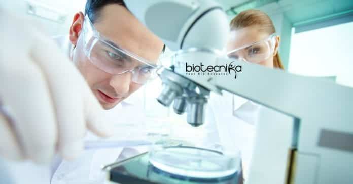 Merck Life Sciences