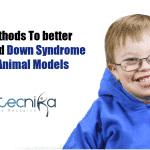 Mice Models Opens Avenues For New Research On Downs Syndrome Mice with down syndrome